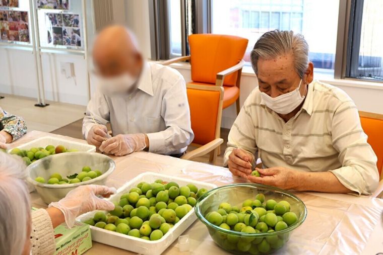 大量の梅の実のヘタ取り作業はなごやかに。おしゃべりも弾みます。